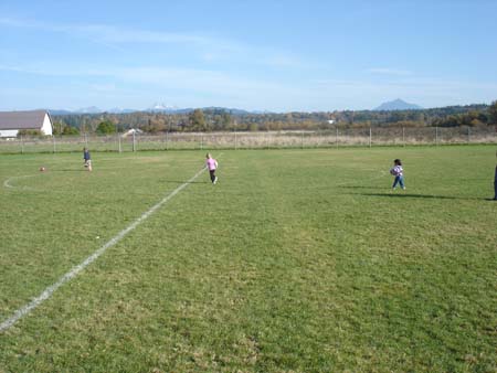 DSC01338