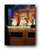 IMG_1503.jpg