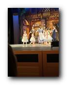 IMG_1528.jpg
