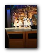 IMG_1529.jpg