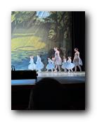 IMG_1629.jpg