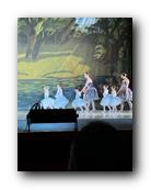 IMG_1630.jpg