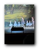 IMG_1631.jpg