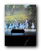 IMG_1633.jpg