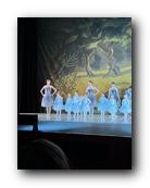 IMG_1641.jpg