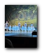 IMG_1642.jpg