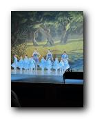 IMG_1643.jpg