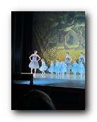 IMG_1645.jpg