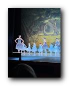 IMG_1647.jpg