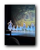 IMG_1648.jpg