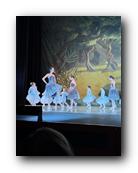 IMG_1650.jpg
