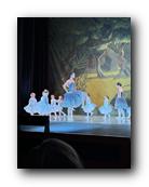 IMG_1651.jpg