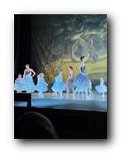 IMG_1654.jpg