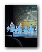 IMG_1656.jpg