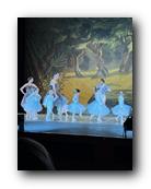 IMG_1660.jpg