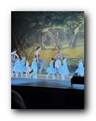 IMG_1661.jpg