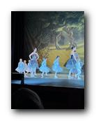 IMG_1663.jpg