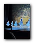IMG_1666.jpg