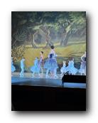 IMG_1669.jpg