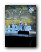 IMG_1671.jpg