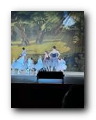 IMG_1673.jpg