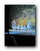 IMG_1676.jpg