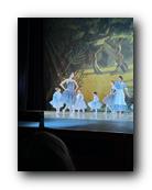 IMG_1677.jpg