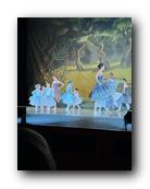 IMG_1681.jpg