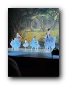 IMG_1682.jpg