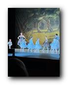 IMG_1684.jpg