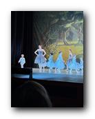 IMG_1685.jpg