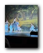 IMG_1690.jpg