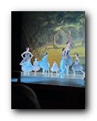 IMG_1691.jpg