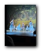 IMG_1693.jpg