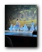 IMG_1694.jpg