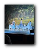 IMG_1695.jpg