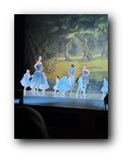 IMG_1699.jpg