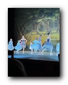 IMG_1702.jpg