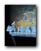 IMG_1705.jpg