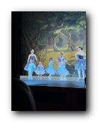 IMG_1709.jpg