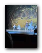 IMG_1716.jpg