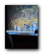 IMG_1717.jpg