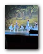 IMG_1719.jpg