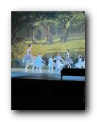 IMG_1722.jpg