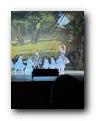 IMG_1723.jpg