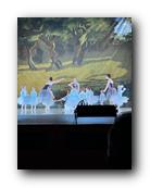IMG_1725.jpg