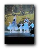 IMG_1733.jpg