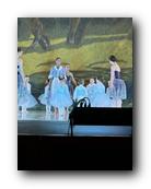 IMG_1737.jpg