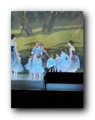 IMG_1739.jpg