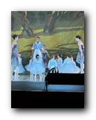IMG_1740.jpg